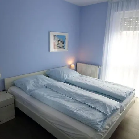 Ariana, Hydrangea * 보르쿰