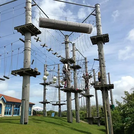 Ariana, Hydrangea * 보르쿰