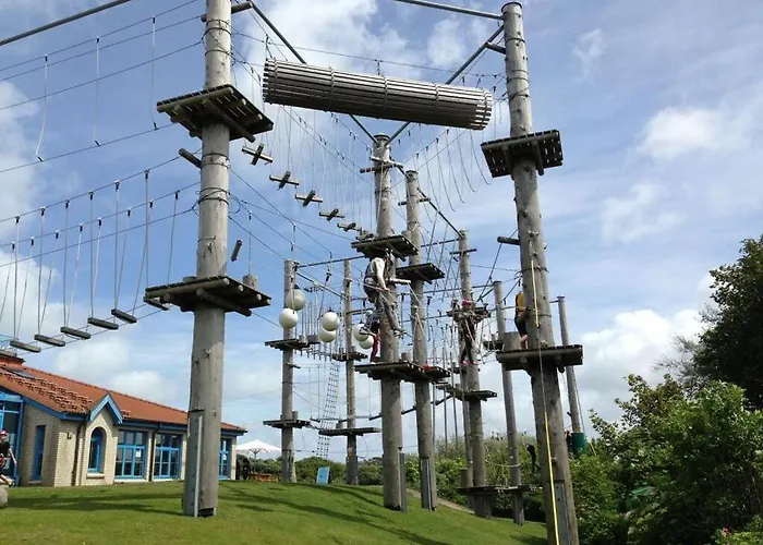 Ariana, Hydrangea * Borkum